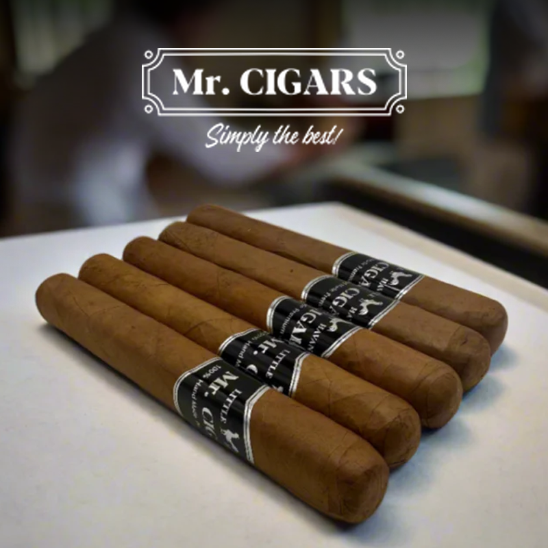 img-Region-FL-SE-DST-MrCigar-800x800
