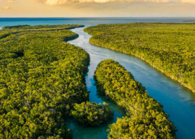 Everglades National Park