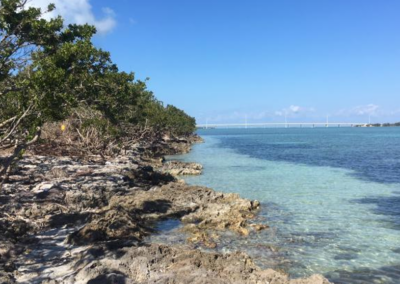 Indian Key Historic State Park